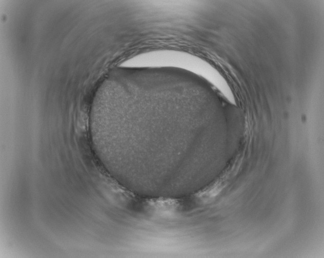 X0000087750517200706041105