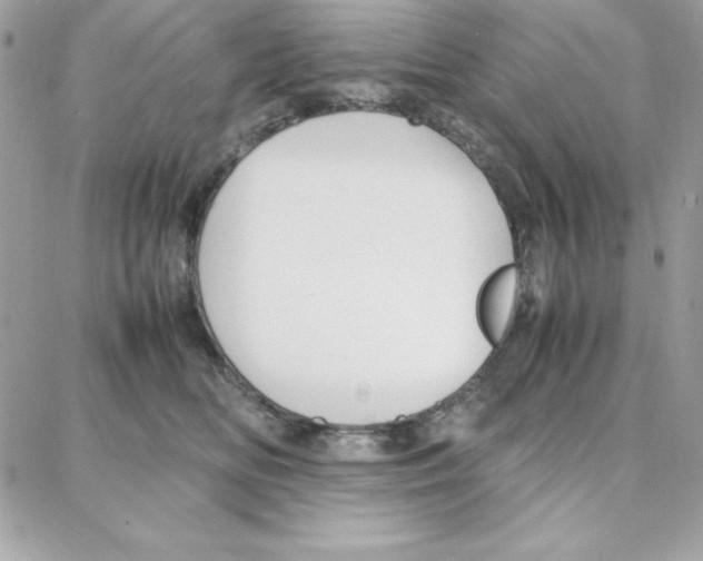 X0000087750518200706041105