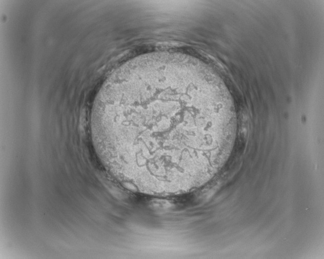 X0000087750519200706041105