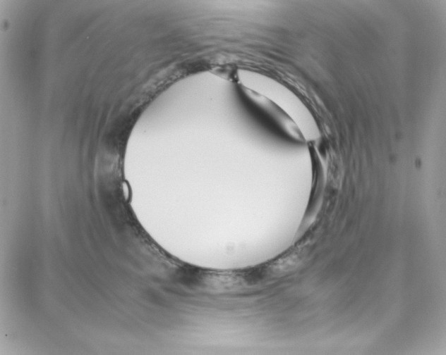 X0000087750521200706041105