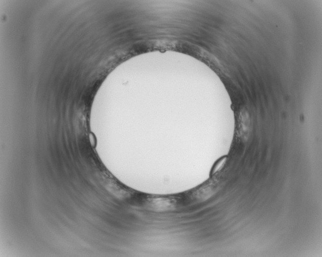 X0000087750522200706041105