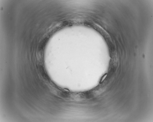 X0000087750523200706041105