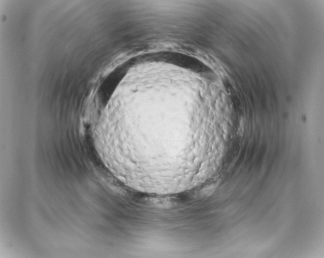 X0000087750524200706041105