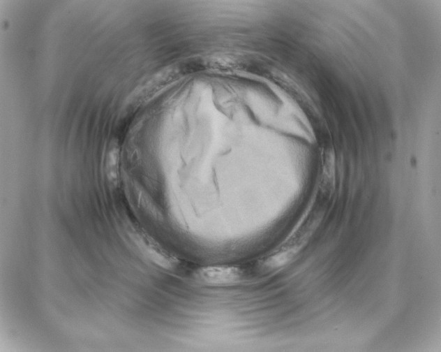 X0000087750526200706041105