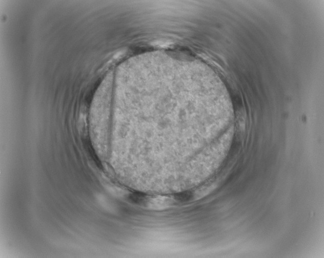 X0000087750527200706041105