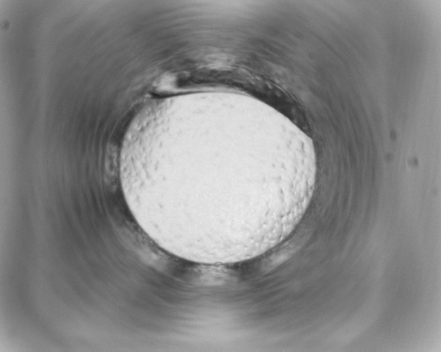 X0000087750528200706041105