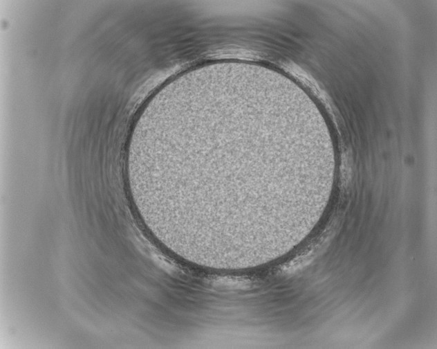 X0000087750529200706041104