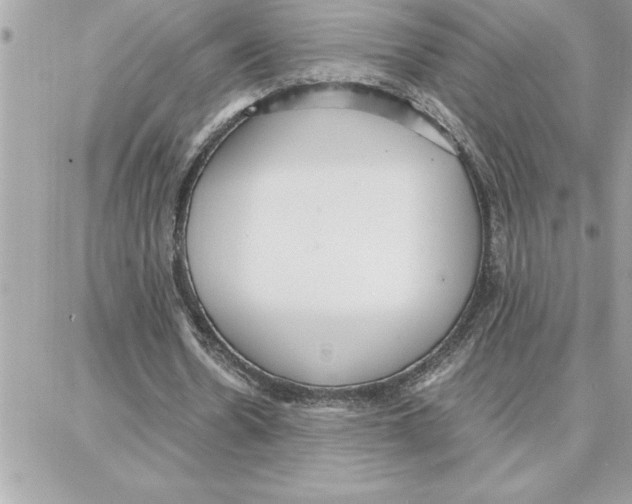 X0000087750530200706041104