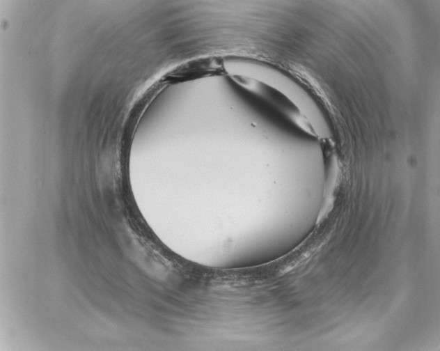 X0000087750532200706041104