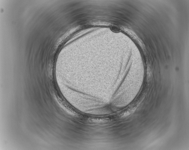 X0000087750533200706041104