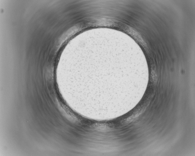 X0000087750534200706041104