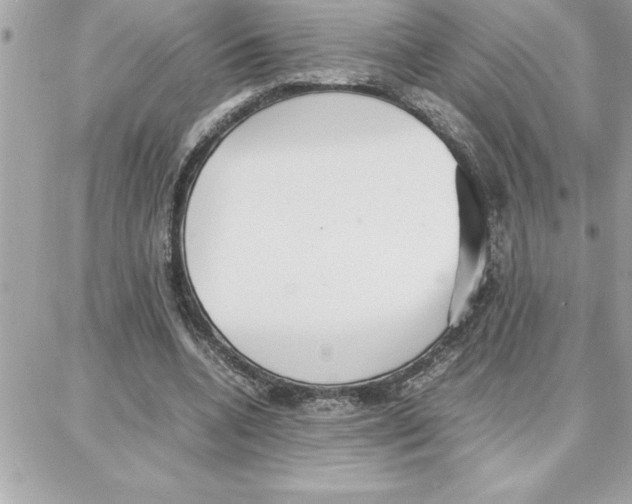 X0000087750536200706041104