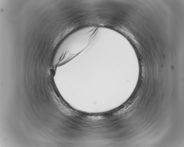 X0000087750537200706041104