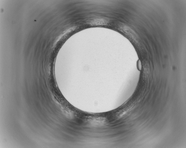 X0000087750539200706041104