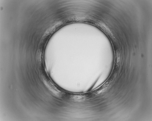 X0000087750542200706041104