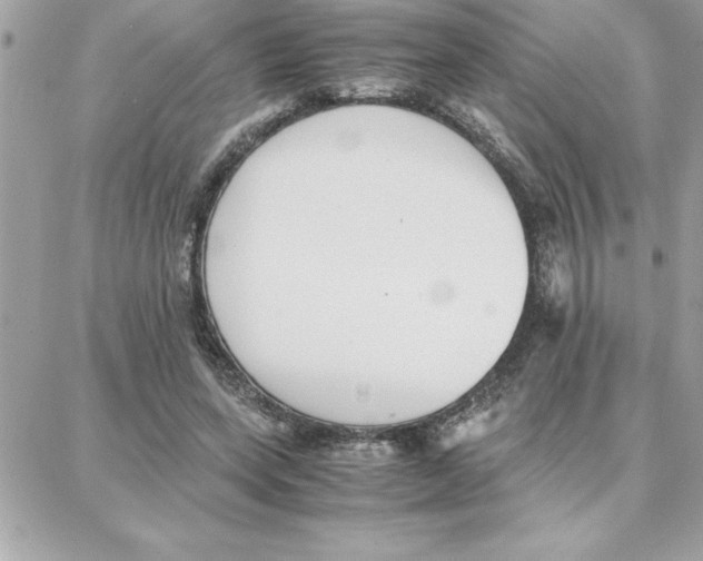 X0000087750543200706041104