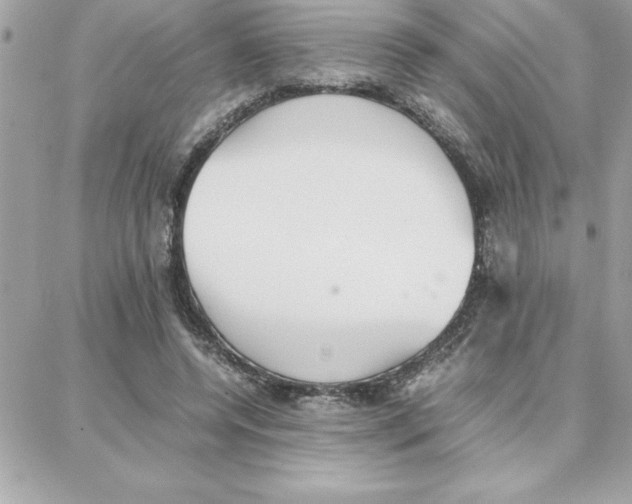 X0000087750544200706041104