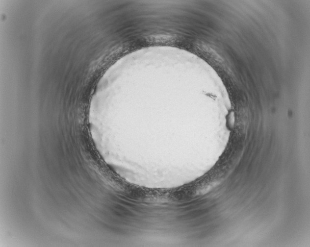 X0000087750545200706041104