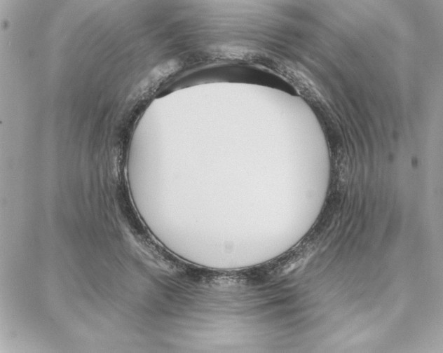 X0000087750546200706041104