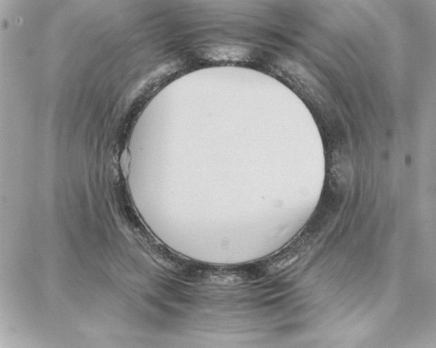 X0000087750547200706041104