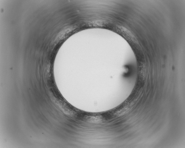 X0000087750548200706041104