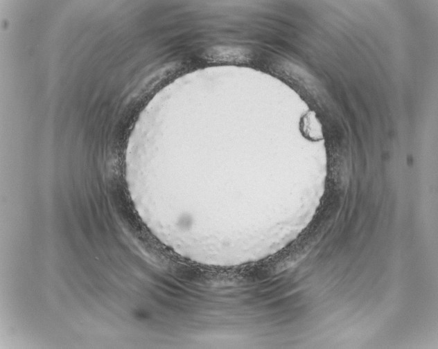 X0000087750549200706041104