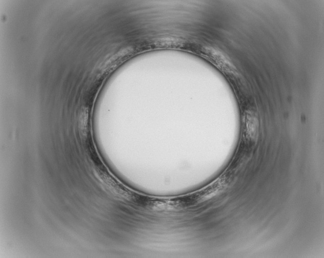 X0000087750550200706041104