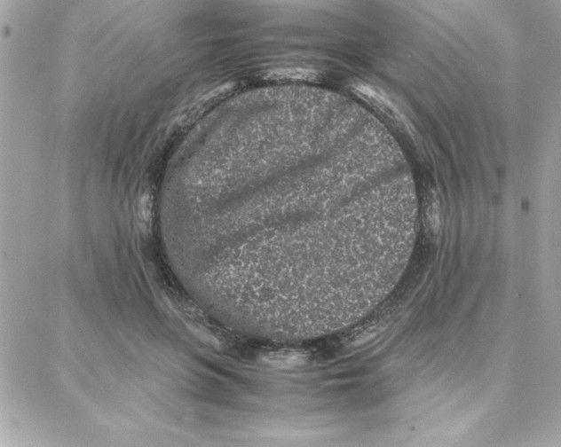 X0000087750551200706041104