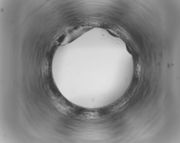 X0000087750552200706041104