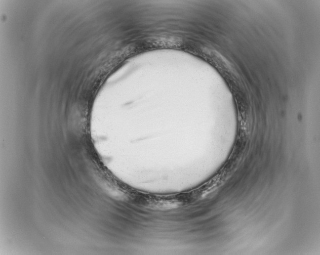 X0000087750553200706041104