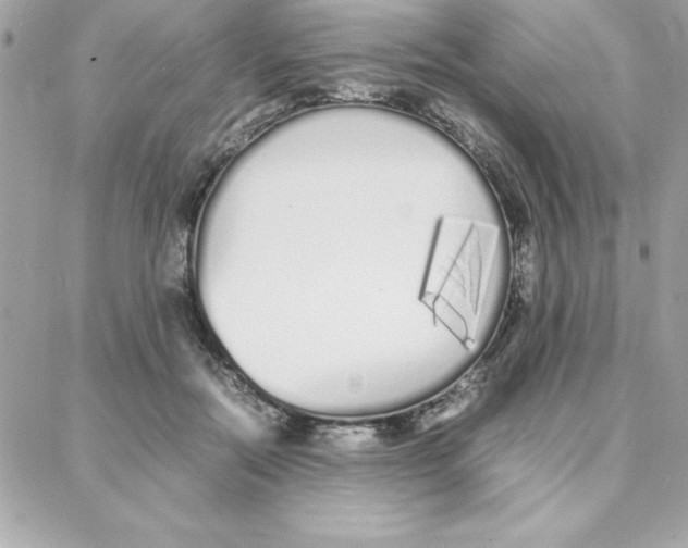 X0000087750554200706041104