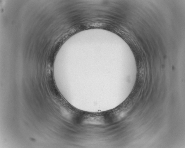 X0000087750555200706041104