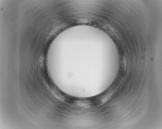 X0000087750556200706041104