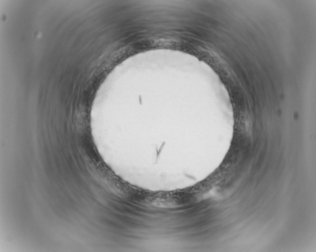 X0000087750557200706041104