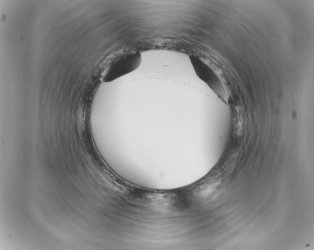 X0000087750558200706041104