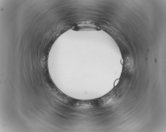 X0000087750559200706041104