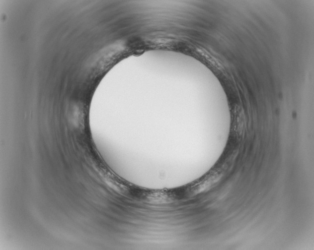 X0000087750562200706041104