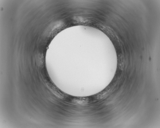 X0000087750563200706041104