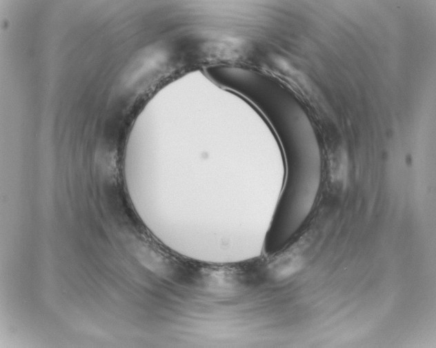 X0000087750564200706041104