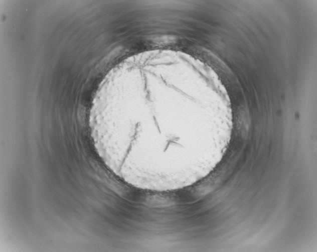 X0000087750565200706041104