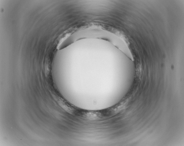 X0000087750566200706041104