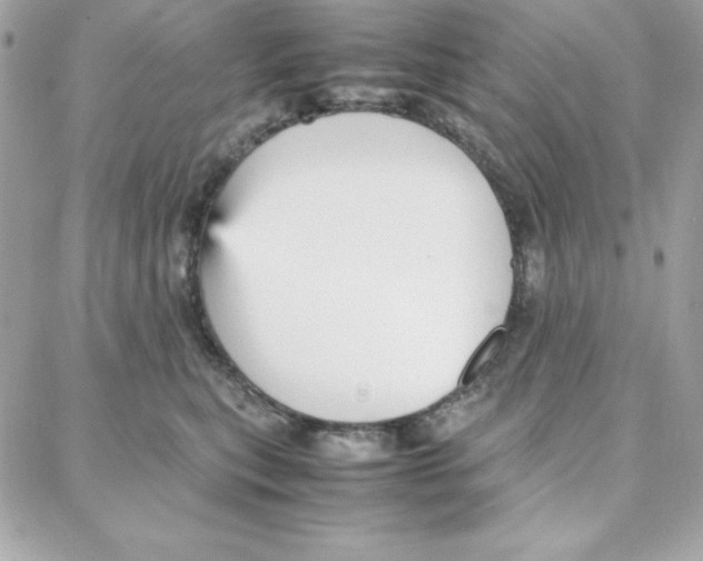 X0000087750567200706041104