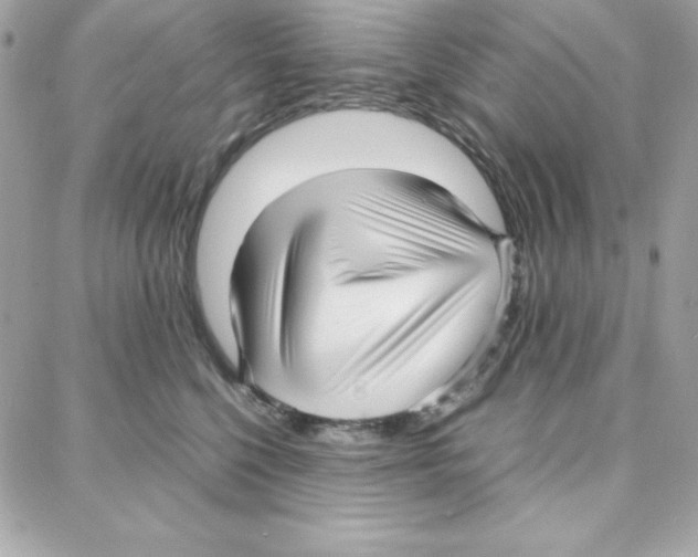 X0000087750568200706041104