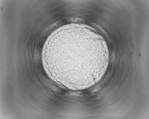 X0000087750569200706041104