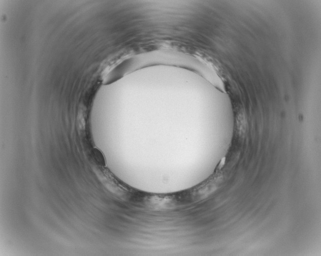 X0000087750570200706041104