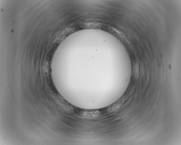 X0000087750571200706041104