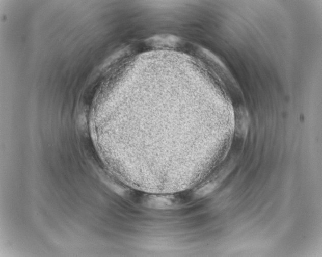 X0000087750573200706041104