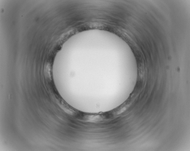 X0000087750575200706041104