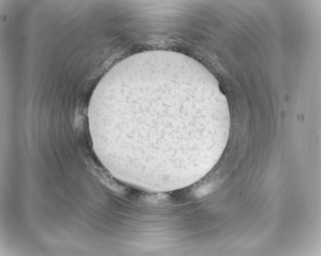 X0000087750576200706041104