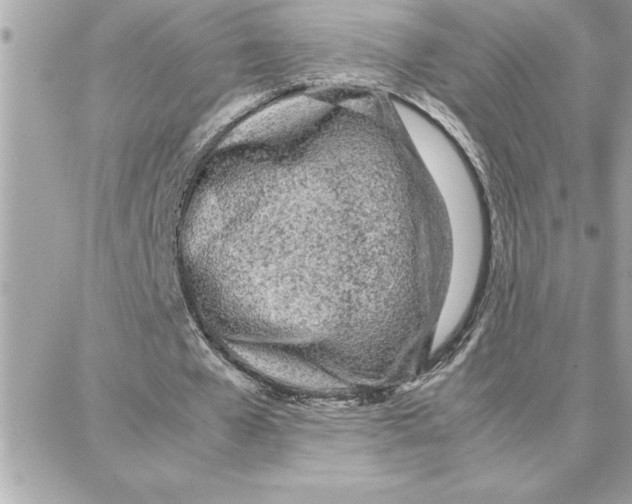 X0000087750577200706041104